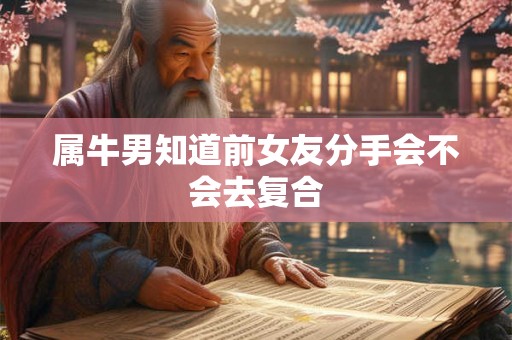 属牛男知道前女友分手会不会去复合