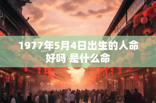 1977年5月4日出生的人命好吗 是什么命