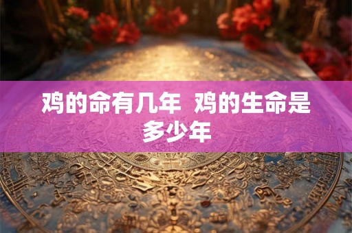 鸡的命有几年  鸡的生命是多少年