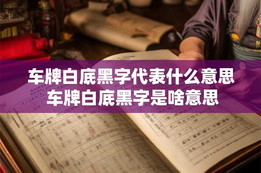 车牌白底黑字代表什么意思 车牌白底黑字是啥意思