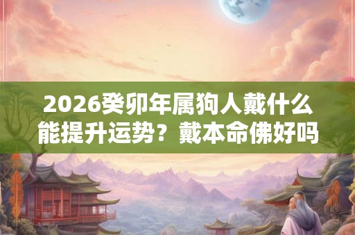 2026癸卯年属狗人戴什么能提升运势？戴本命佛好吗