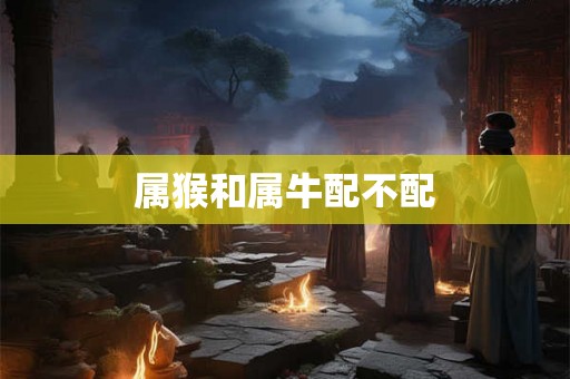 属猴和属牛配不配