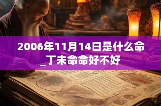 2006年11月14日是什么命_丁未命命好不好