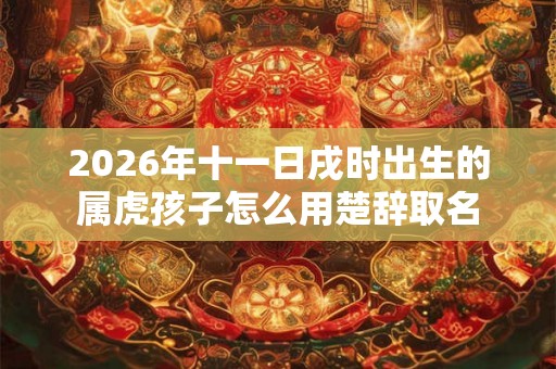 2026年十一日戌时出生的属虎孩子怎么用楚辞取名
