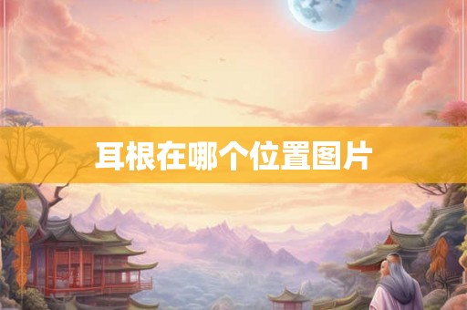 耳根在哪个位置图片