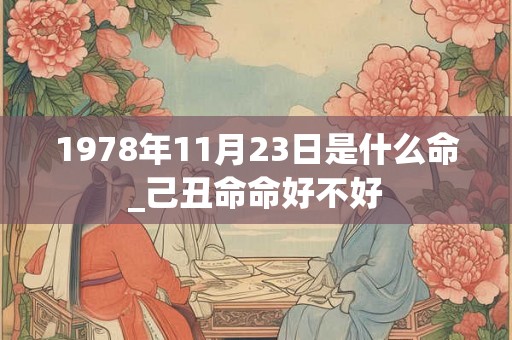 1978年11月23日是什么命_己丑命命好不好 1978年11月23日是什么命_己丑命命好不好