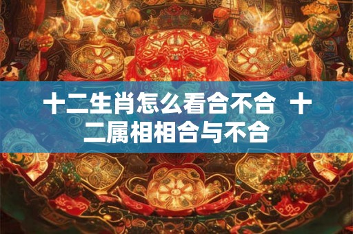 十二生肖怎么看合不合  十二属相相合与不合