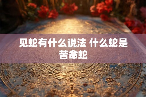 见蛇有什么说法 什么蛇是苦命蛇