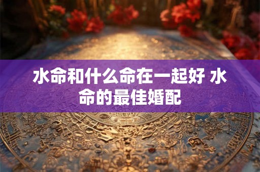 水命和什么命在一起好 水命的最佳婚配