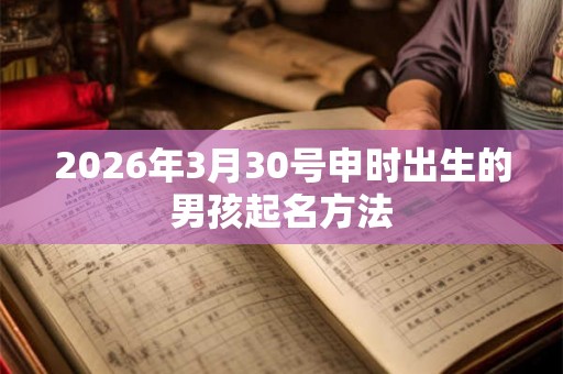 2026年3月30号申时出生的男孩起名方法