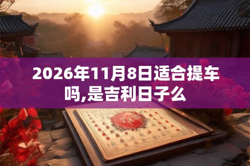 2026年11月8日适合提车吗,是吉利日子么