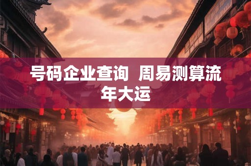 号码企业查询  周易测算流年大运