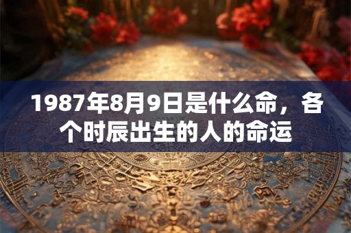 1987年8月9日是什么命，各个时辰出生的人的命运