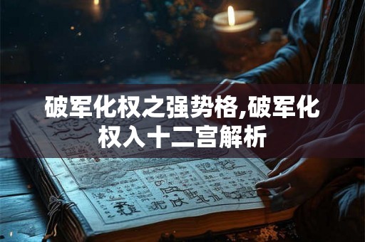 破军化权之强势格,破军化权入十二宫解析