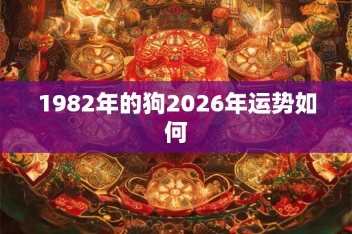 1982年的狗2026年运势如何 1982年的狗2026年运势如何