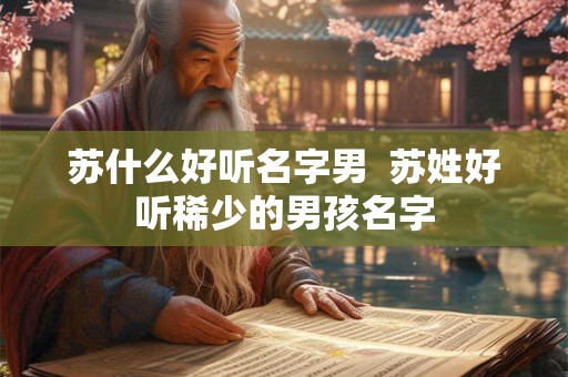 苏什么好听名字男  苏姓好听稀少的男孩名字