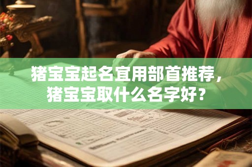 猪宝宝起名宜用部首推荐，猪宝宝取什么名字好？