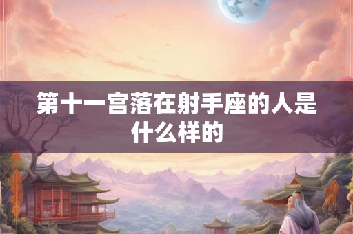 第十一宫落在射手座的人是什么样的