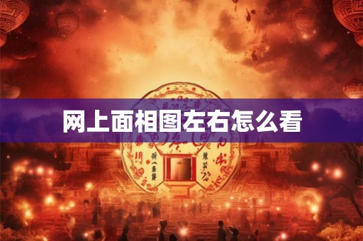 网上面相图左右怎么看