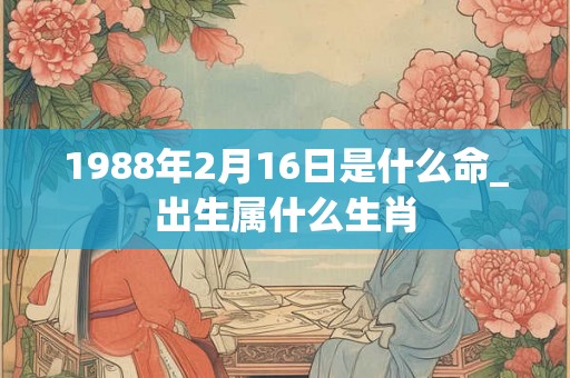1988年2月16日是什么命_出生属什么生肖