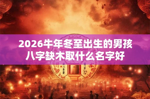 2026牛年冬至出生的男孩八字缺木取什么名字好