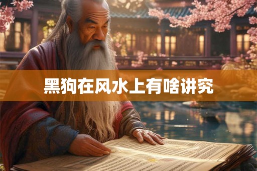 黑狗在风水上有啥讲究