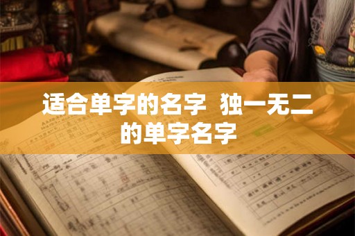 适合单字的名字  独一无二的单字名字
