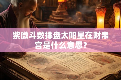 紫微斗数排盘太阳星在财帛宫是什么意思？