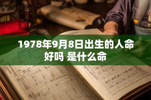 1978年9月8日出生的人命好吗 是什么命