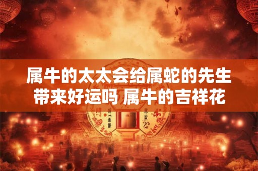 属牛的太太会给属蛇的先生带来好运吗 属牛的吉祥花