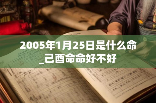 2005年1月25日是什么命_己酉命命好不好
