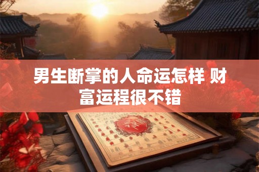 男生断掌的人命运怎样 财富运程很不错 男生断掌的人命运怎样 财富运程很不错