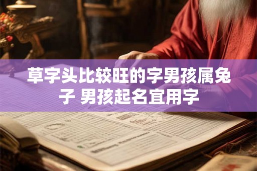 草字头比较旺的字男孩属兔子 男孩起名宜用字
