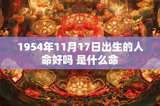 1954年11月17日出生的人命好吗 是什么命