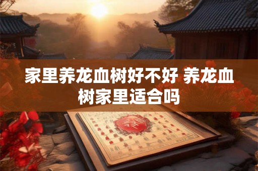 家里养龙血树好不好 养龙血树家里适合吗