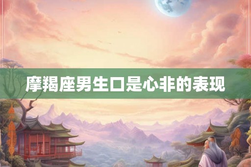 摩羯座男生口是心非的表现