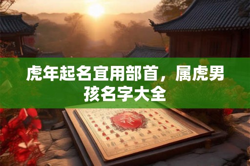 虎年起名宜用部首，属虎男孩名字大全
