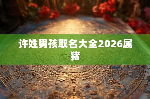 许姓男孩取名大全2026属猪