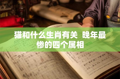 猫和什么生肖有关  晚年最惨的四个属相