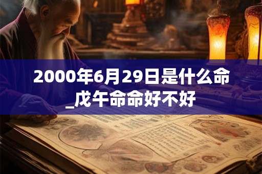 2000年6月29日是什么命_戊午命命好不好