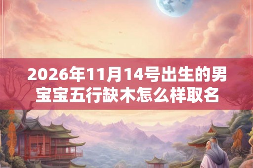 2026年11月14号出生的男宝宝五行缺木怎么样取名