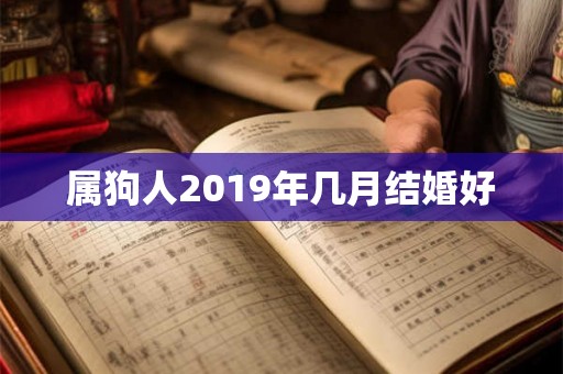 属狗人2019年几月结婚好