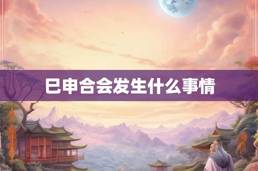 巳申合会发生什么事情
