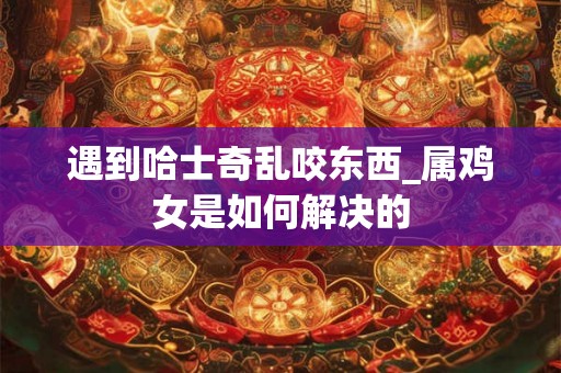 遇到哈士奇乱咬东西_属鸡女是如何解决的 遇到哈士奇乱咬东西_属鸡女是如何解决的