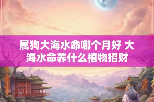 属狗大海水命哪个月好 大海水命养什么植物招财 属狗大海水命哪个月好 大海水命养什么植物招财