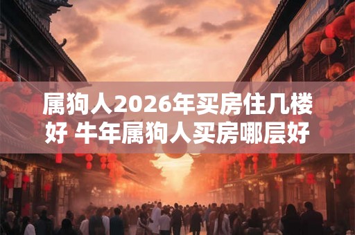 属狗人2026年买房住几楼好 牛年属狗人买房哪层好 属狗人2026年买房住几楼好 牛年属狗人买房哪层好