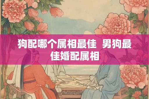 狗配哪个属相最佳  男狗最佳婚配属相