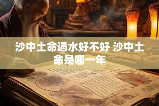 沙中土命遇水好不好 沙中土命是哪一年