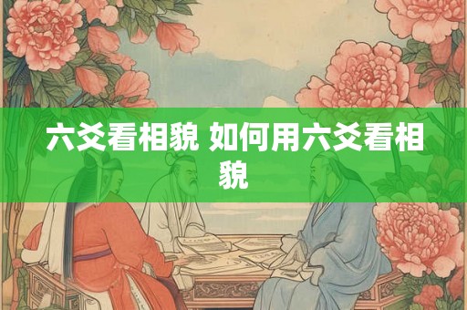 六爻看相貌 如何用六爻看相貌
