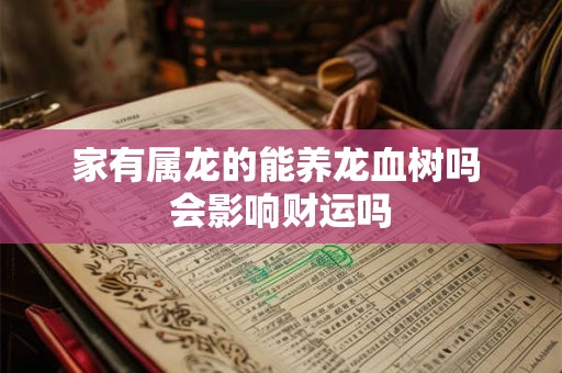 家有属龙的能养龙血树吗 会影响财运吗